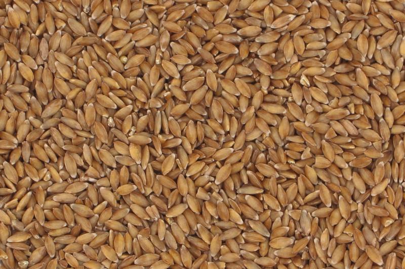 Luomu Einkorn 25kg