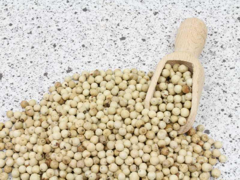Luomu kokonaisena valkea pippuri 25kg