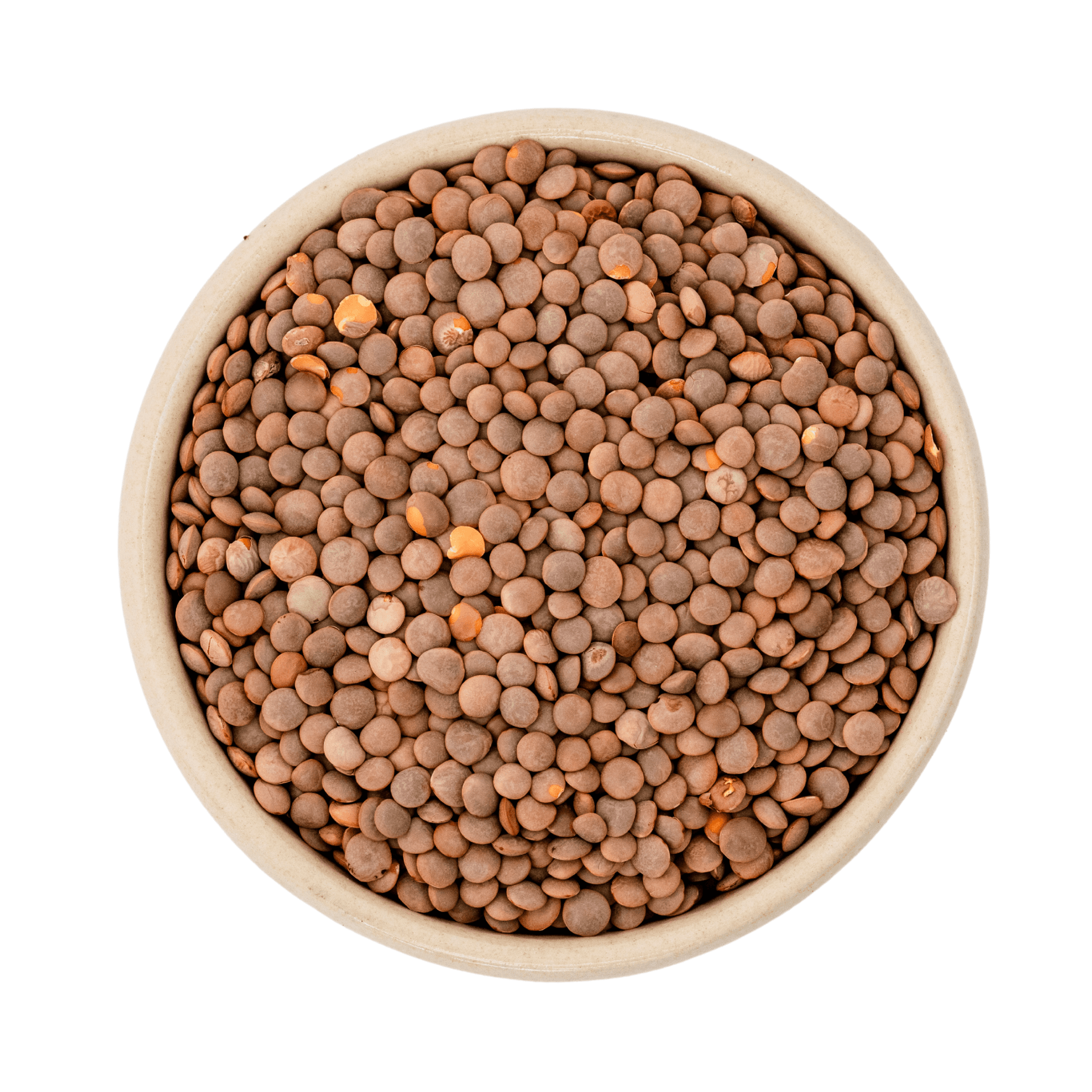 Vuorenlentiljät ruskeat luomu (Gourmet) 25kg