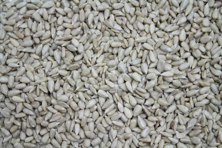 Luomu auringonkukkakernat korkean oleiinsyöttävät bio Europa 25kg